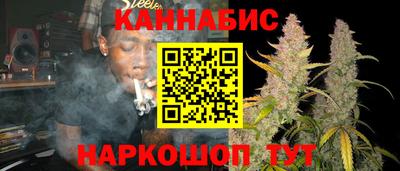 мдпв Камышлов