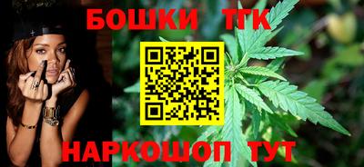 мдпв Камышлов