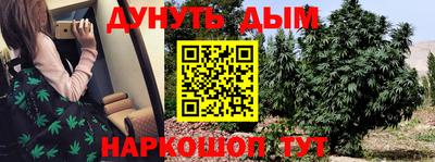 мдпв Камышлов