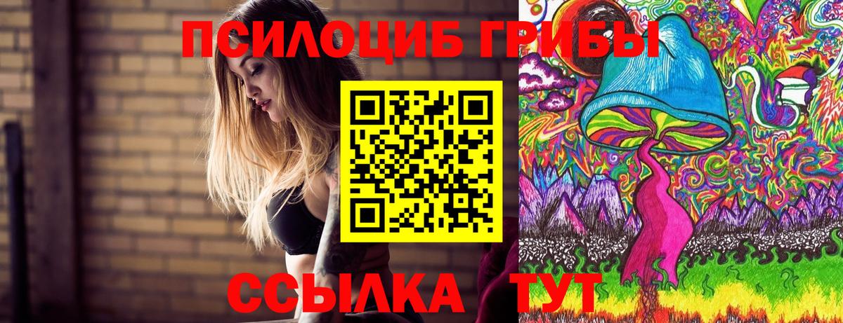 Псилоцибиновые грибы прущие грибы  Галлюциногенные грибы Psilocybe  Вход с VPN  Чита 